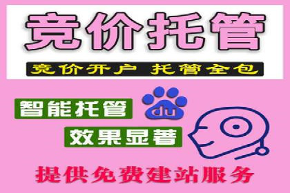 汽车展会的SEM外包广告投放与效果分析